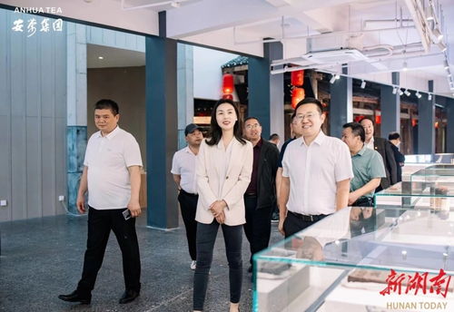 永定區(qū)工商聯(lián)推動民企‘走出去，請進來’，助力經(jīng)濟與文化雙騰飛